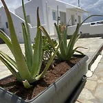 Sing And Blossom بيت للعطل Mykonos Town