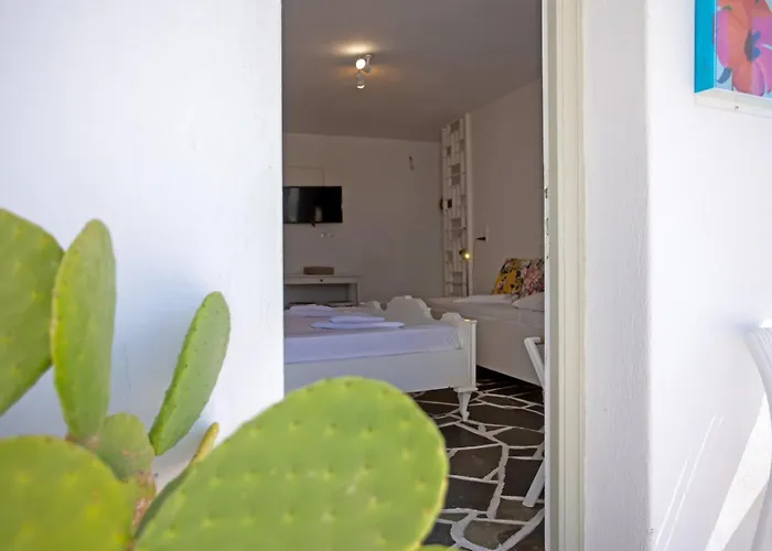 Sing&blossom Mykonos Town