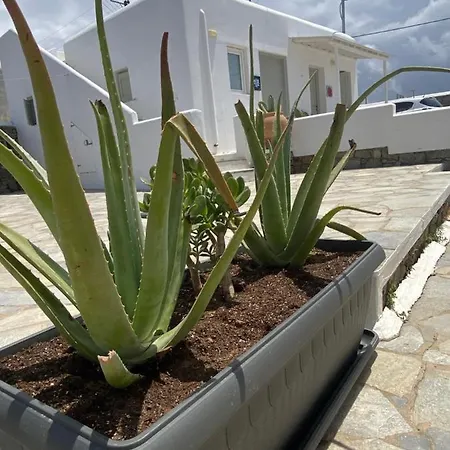 Sing And Blossom Ferienhaus Mykonos Town