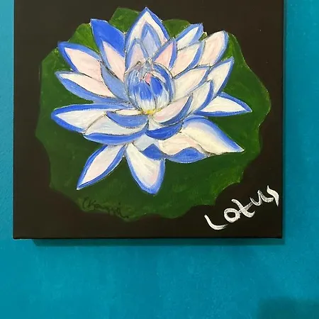 Sing And Blossom Mykonos Town