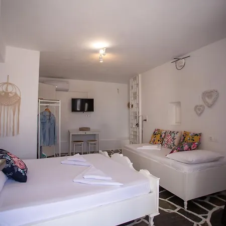 Sing And Blossom Feriehus Mykonos Town