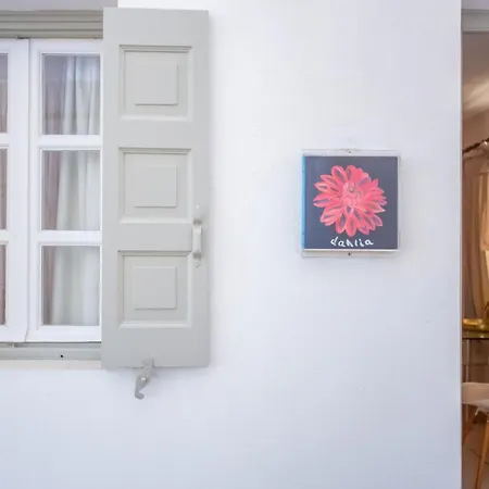 Sing And Blossom Ferienhaus Mykonos Town