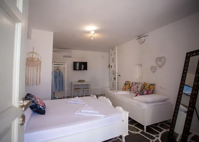 Sing And Blossom Tatil Evi Mykonos Town