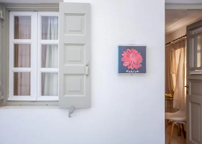 Sing And Blossom Tatil Evi Mykonos Town