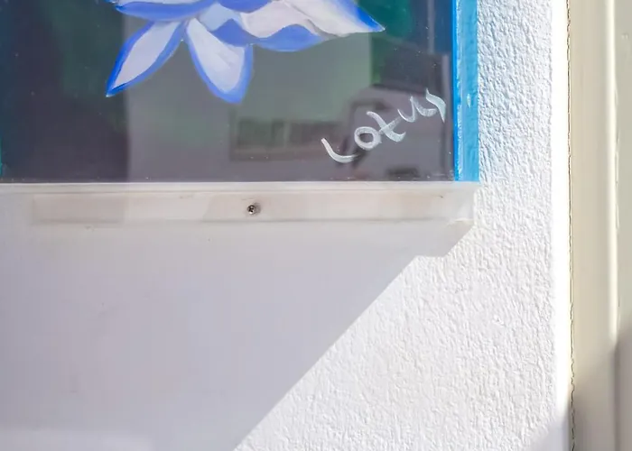 Tatil Evi Sing And Blossom *