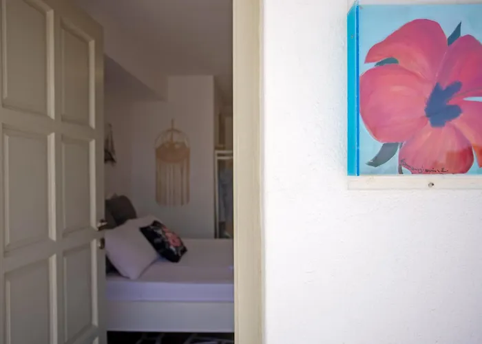 Sing And Blossom Tatil Evi Mykonos Town